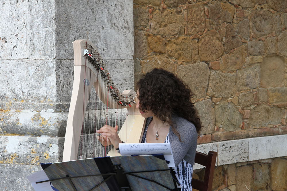 Harpist 5 for Wedding Proposal in Tuscan Countryside